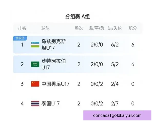 印尼队大名单公布，备战即将到来的亚洲杯赛事