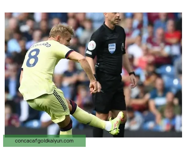 诺维奇门将近期表现稳健，状态回暖值得关注