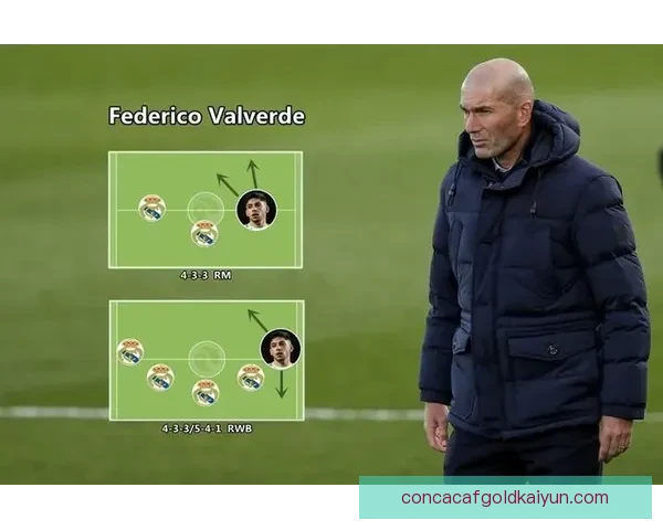 巴尔韦德在齐达内时代的表现分析与足球智慧回顾