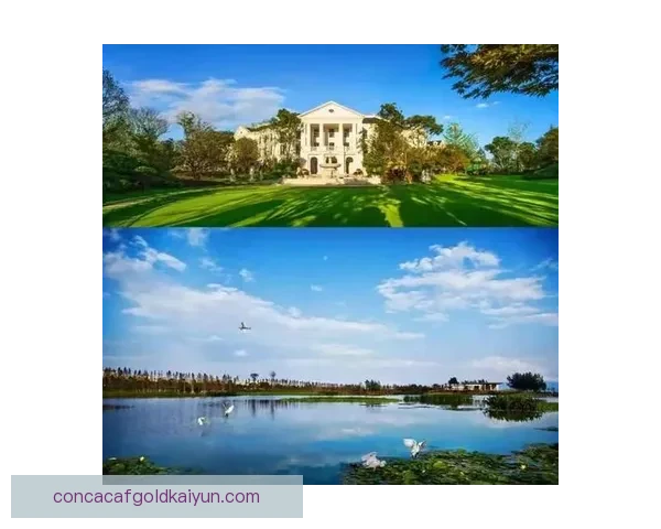 梅赫伦整体实力表现稳健，近期竞争力持续提升